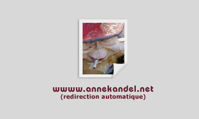 www.annekandel.net